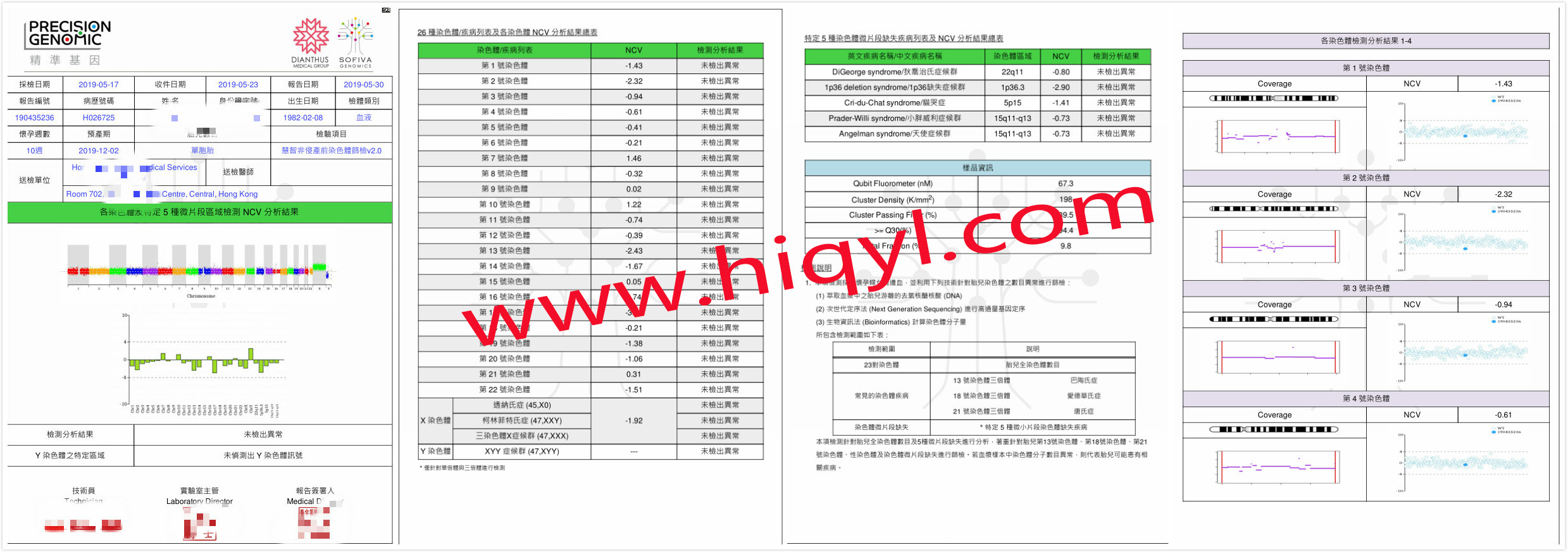 香港NIPS无创检测31项报告