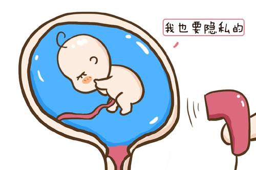 济宁哪里可以看胎儿男女，香港验血查男女告诉你真相-